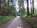 ...und erreichen über einen Waldweg...