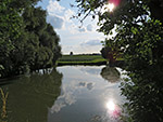 Weiher in Sainbach