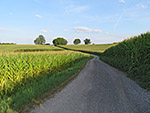Über einen Feldweg...