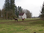 Durch den Forst fahren wir bis zur St.-Ulrich-Kapelle