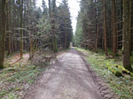 ...und fahren anschließend durch den Deisenhofener Forst...