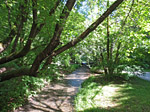 Der Hachinger Bach