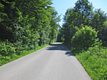 Wir erreichen ein Waldstück...