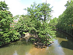 Nürnberg