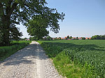 ...Richtung Holzkirchen bei Alling