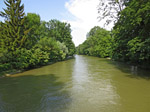 Die Amper in Fürstenfeldbruck