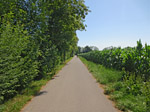 ...der parallel zur Schleißheimer Straße ostwärts führt