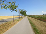 Ausgehend von Gronsdorf...