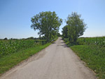 Schließlich überqueren wir in östlicher Richtung die Autobahn...