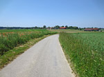 Sobald wir den Wald hinter uns gelassen haben, ...