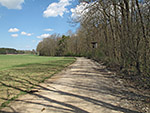 ...geht es aus dem Wald hinaus