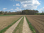 ...und biegen in einen Feldweg ein, ...