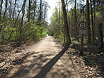 Wir radeln in den Wald hinein...