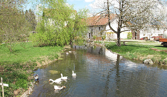 Rund um Anzing