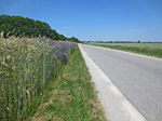 ...der Moosstraße...