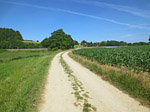 Ein Feldweg bringt uns...
