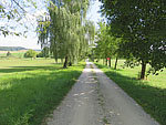 ...und passieren einen weiteren Golfplatz