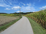 In Niederaltmannsberg treffen wir auf eine Straße, ...
