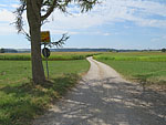 Wir verlassen Springlbach, ...