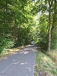 ...in ein Waldstück hinein