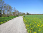 ...und verlassen den Ort über einen schönen Radweg, ...