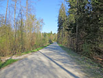 ...und lichten Wald...