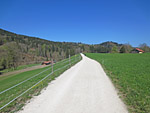 Wir verlassen wieder den Wald...