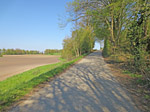 Vorbei an weiten Feldern und kleinen Waldstücken...