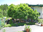 Maxlmühle