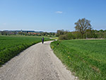Beim Weiler Haag biegen wir links in einen Feldweg ein...
