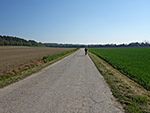 ...und erreichen über einen Feldweg...