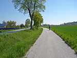 Weiter gehts entlang der Landstraße