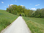 Gegen Ende wird der Radweg nochmal richtig schön