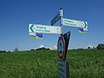 Der Waginger See-Rundweg ist bestens beschildert