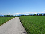 ...und folgen im Anschluss einer Teerstraße Richtung Gut Horn