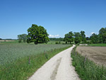 Nach dem Gut Horn...