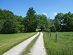 Wir verlassen Wolkersdorf über einen Feldweg...