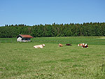 ...und passieren weites Wiesengelände
