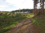 ...und fahren durch ein Waldstück