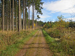 ...weiter Richtung Hechendorf
