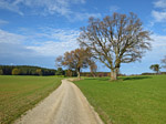 ...und über freies Feld...