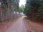 ...das Krontal