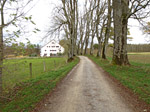 ...und zum Schluss über eine Allee...